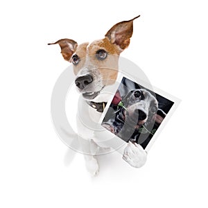 Dog holding a photogrpah of a dog