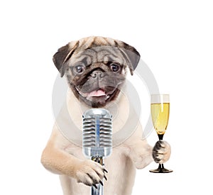 Dog holding retro microphone and glass of champagne. Isolated on white background