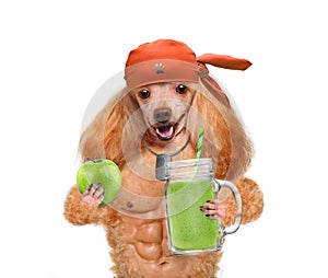 Dog holding smoothie in a jar mug old.