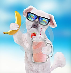 Dog holding smoothie in a mug .