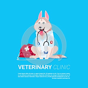 Dog Holding Stethoscope Veterinary Clinic Icon Background With Copy Space