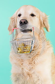 The dog holds basket in mouth with money.