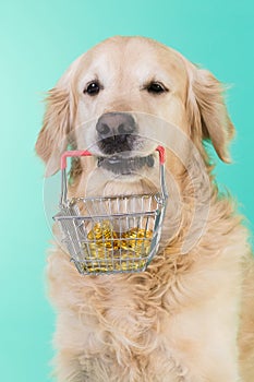 The dog holds basket in mouth with money.