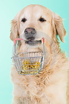 The dog holds basket in mouth with money.