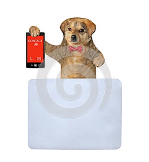 Dog holds phone with text contact us 2