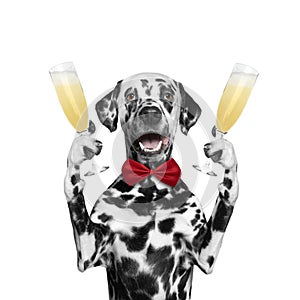 Dog on a holiday with a glass of champagne