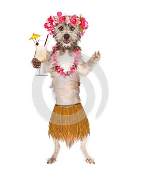 Dog Hula Dancer With Drink