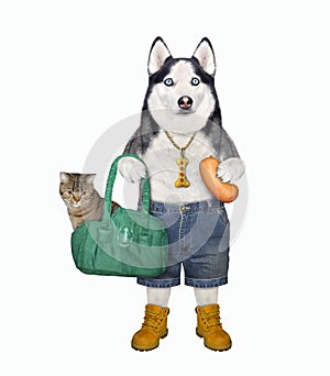 Dog husky holds bag with kitten