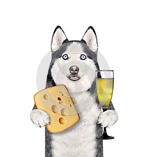 Dog husky with wine and cheese