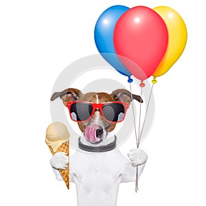 Dog with ice cream