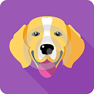 Dog icon flat design