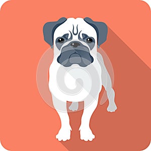 Dog icon flat design