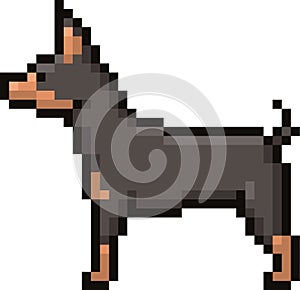 Dog icon isolated in white background. Vector illustration decorative design