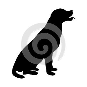 Dog Icon. Labrador Silhouette Sitting photo