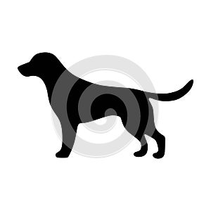 Dog icon, pet face profile vector silhouette glyph pictogram