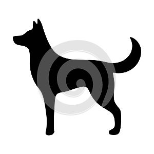 Dog icon, pet face profile vector silhouette glyph pictogram