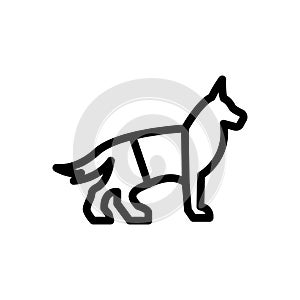 Dog vector thin line icon photo
