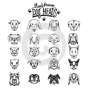 dog icons collection. Vector illustration decorative design