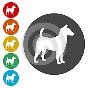 Dog Icons set