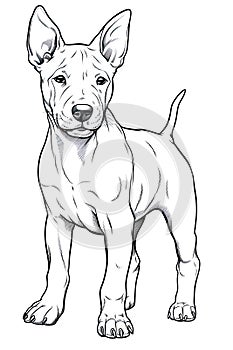 dog illustration captured in a pencil drawing, isolated on a white background.