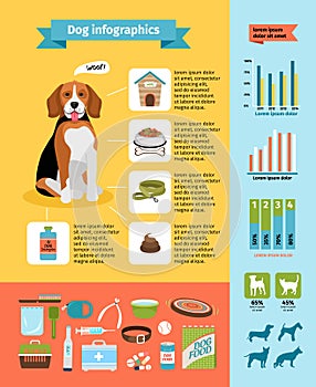Il cane infografica 