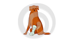 Dog with an injured leg icon animation