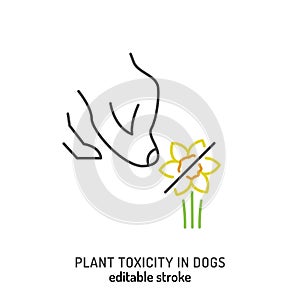 Dog injuries. Plant toxicity icon, pictogram. Vegetal poisoning symbol.