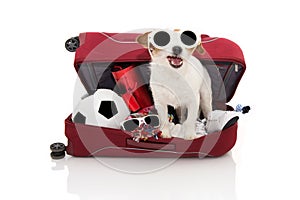 DOG INSIDE A RED MODERN BAGGAGE OR LUGGAGE GOING ON SUMMER VACATIONS WEARING SUNGLASSES. ISOLATED AGAINST WHITE BACKGROUND