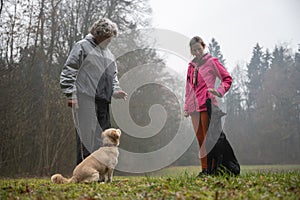 Dog instructor teaching his client dog obedience