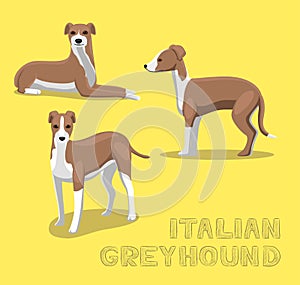 Dog Italian Greyhound Cartoon Vector Illustration