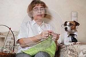 Dog jack russell terrier in glasses and a tie next to an elderly caucasian woman with knitting
