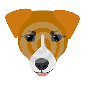 Dog Jack Russell Terrier head icons.Vector flat illustration.