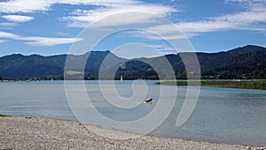 Dog jumping into Lake Tegernsee in Bavaria, Germany