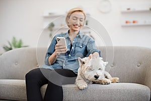 Dog keeper using smartphone while petting terrier on sofa