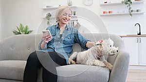 Dog keeper using smartphone while petting terrier on sofa