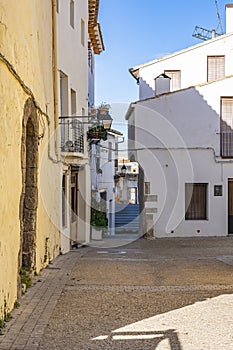 A dog keeps watch on a balcony of a house on Calle Carcel in Requena, Spain photo