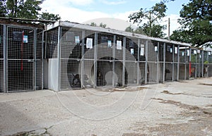 Dog kennel