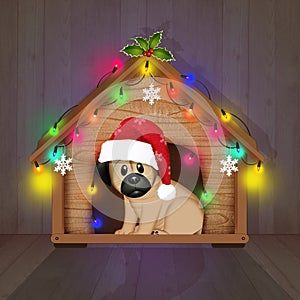 Dog kennel decked out for Christmas