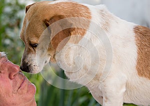 Dog kissing old man