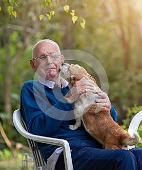 Dog kissing old man in garden