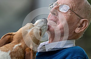 Dog kissing senior man in park