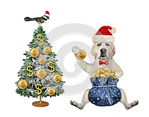 Dog labrador with bag of gold dollars for Christmas 2