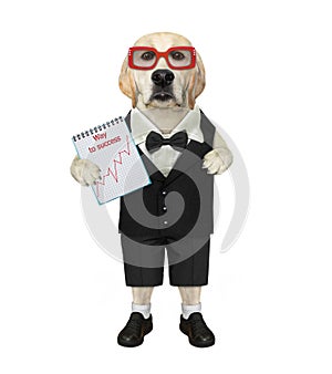 Dog labrador businessman holds notepad with chart