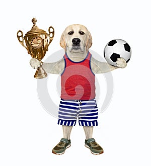 Dog labrador footballer holds gold cup
