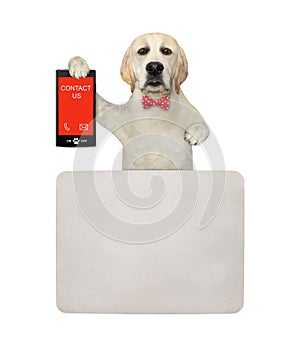 Dog labrador holds phone with text contact us 2