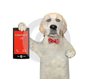 Dog labrador holds phone with text contact us