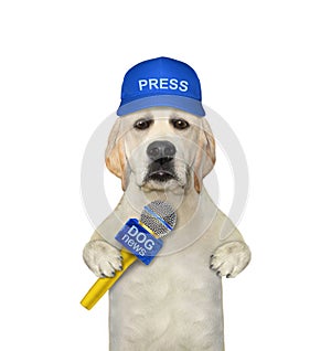 Dog labrador journalist with microphone