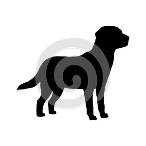 Dog labrador silhouette. Black white icon. Vector illustration.