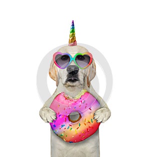 Dog labrador unicorn with rainbow donut