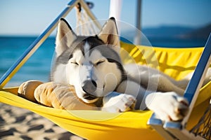 Dog Laid-Back Husky Unwinding on Vacation on the beach. Generative AI